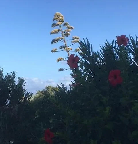 Les Marines Du Soleil A Saint-florent *