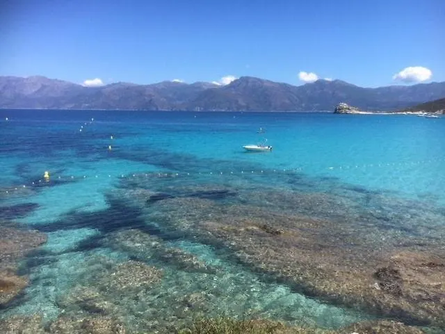 Les Marines Du Soleil A Saint-florent 公寓