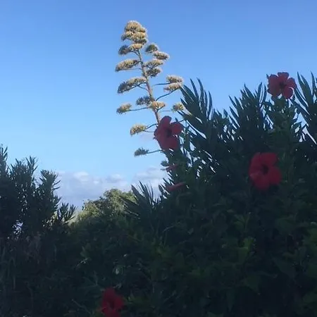 Les Marines Du Soleil A Saint-florent *